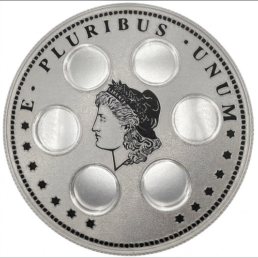 MORGAN DOLLAR WALL HANGER COIN DISPLAY! SILVER AND BLACK COLOR SCHEME.