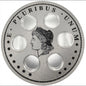 MORGAN DOLLAR WALL HANGER COIN DISPLAY! SILVER AND BLACK COLOR SCHEME.