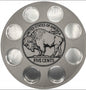 BUFFALO NICKEL WALL HANGER COIN DISPLAY! SILVER AND BLACK COLOR SCHEME.