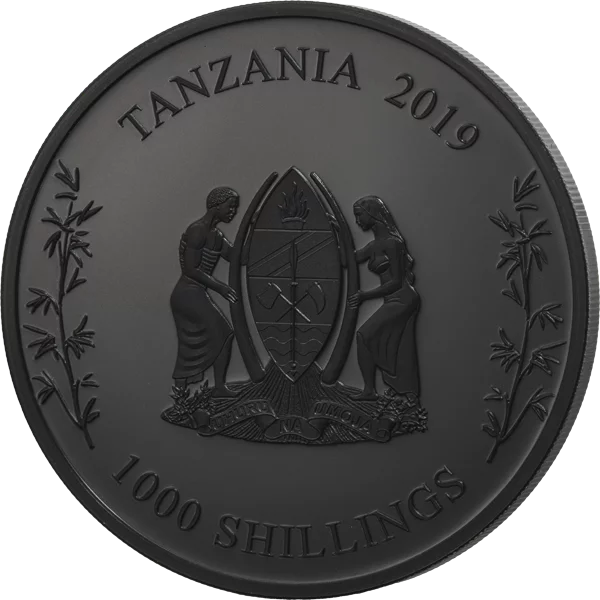 2019 Tanzania Nano Panda Black Proof 1 oz Silver Coin (06/08)