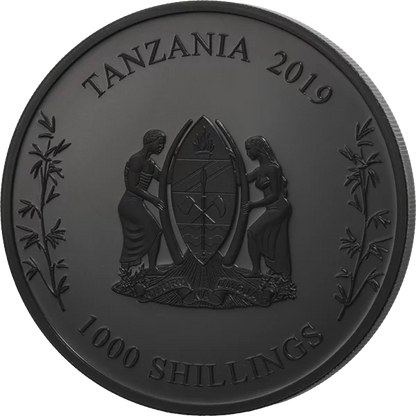 2019 Tanzania Nano Panda Black Proof 1 oz Silver Coin (06/08)