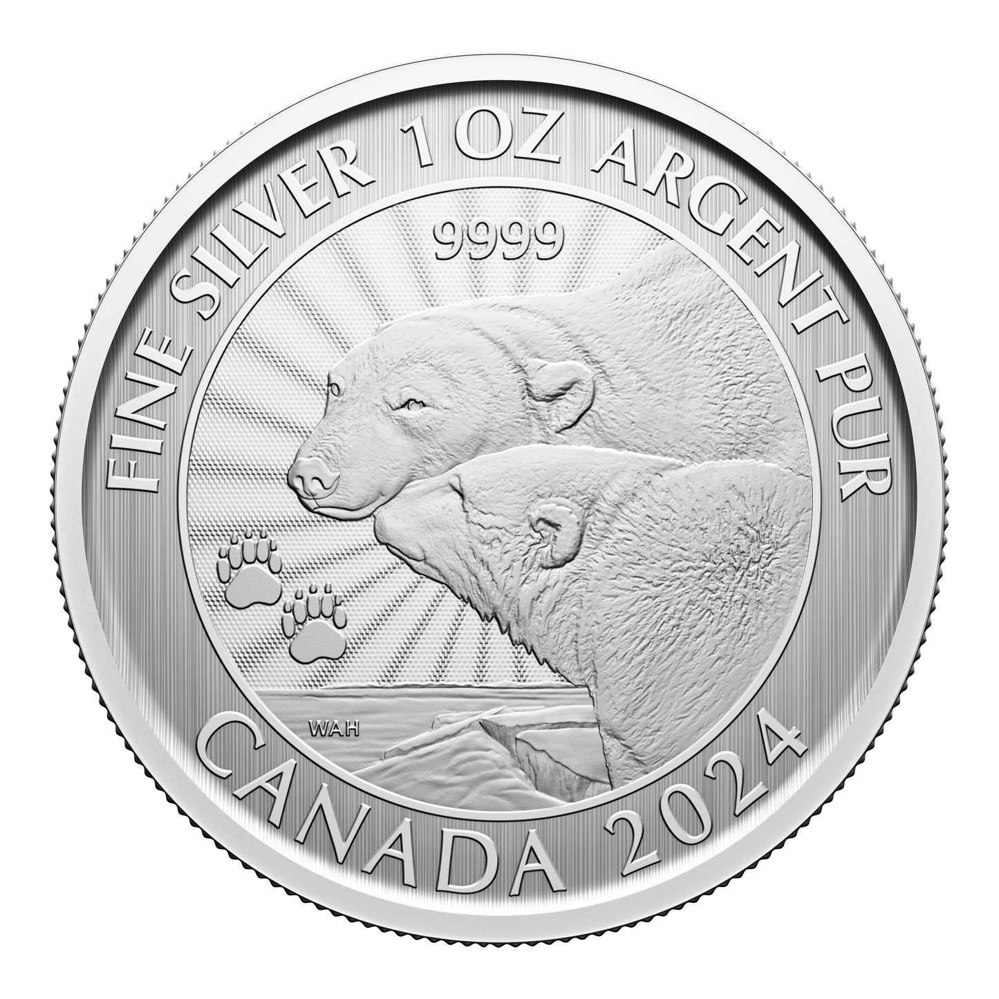 Canadian Polar Bear 1 oz Silver Coin