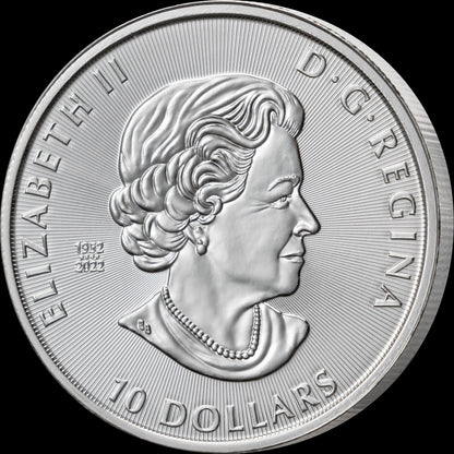2023-2024 Canada Ice Age Rhodium Diamond Crystal Edition 2 x 2 oz Silver Coin Set (07/07)