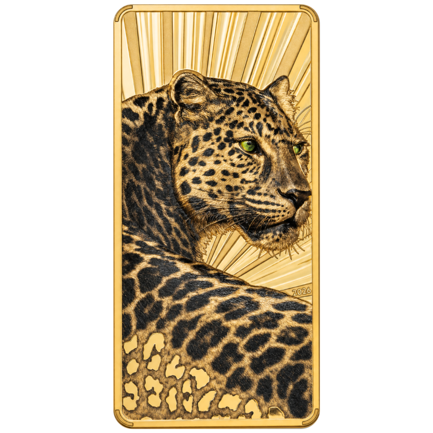 d97768b4-a2d4-4744-a5f5-4f3a0eb348ad.png