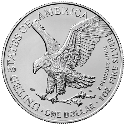 2024 U.S. Eagle Cyber Girl Edition 1 oz Silver Coin (06/27)